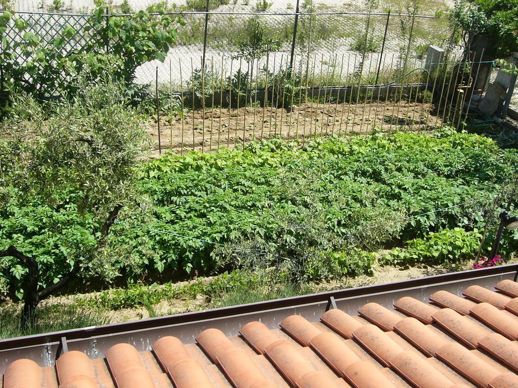 Nonna Alda Bed & Breakfast Viareggio Oda fotoğraf