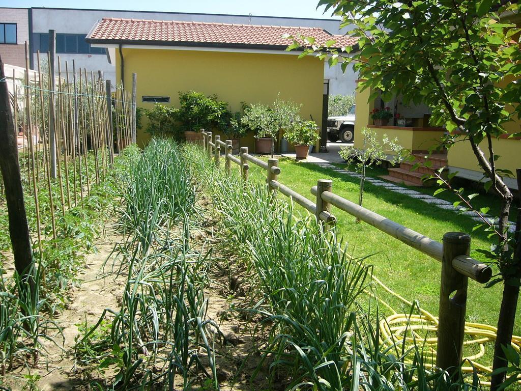Nonna Alda Bed & Breakfast Viareggio Oda fotoğraf