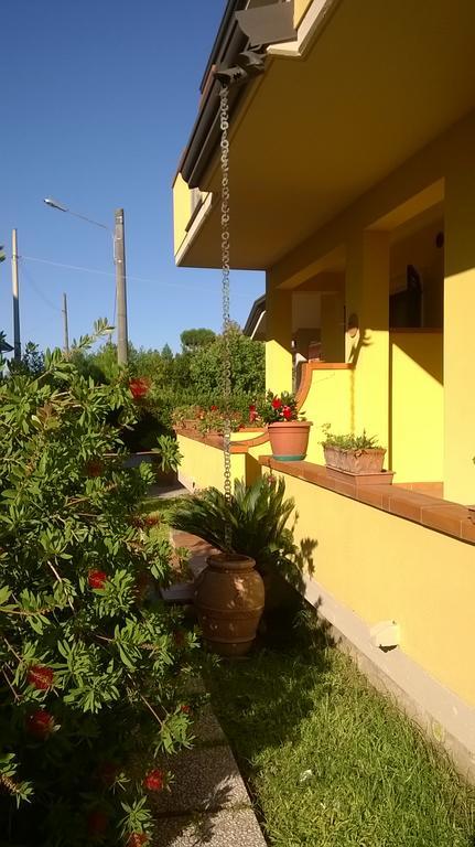 Nonna Alda Bed & Breakfast Viareggio Dış mekan fotoğraf
