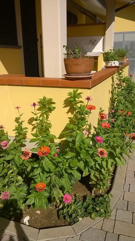 Nonna Alda Bed & Breakfast Viareggio Dış mekan fotoğraf