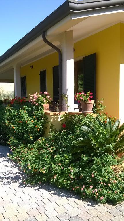 Nonna Alda Bed & Breakfast Viareggio Dış mekan fotoğraf