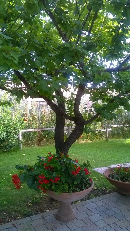 Nonna Alda Bed & Breakfast Viareggio Oda fotoğraf